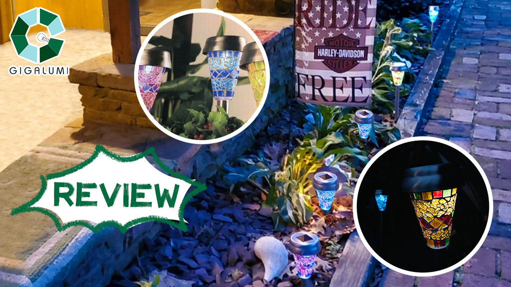 Gigalumi-Your houseplant needs light