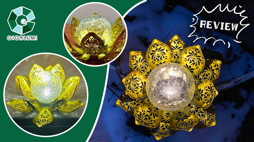 Gigalumi-Glittering colorful lotus flowers