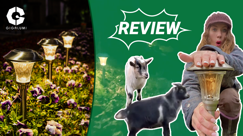 Gigalumi-Your farm will need these warm lights