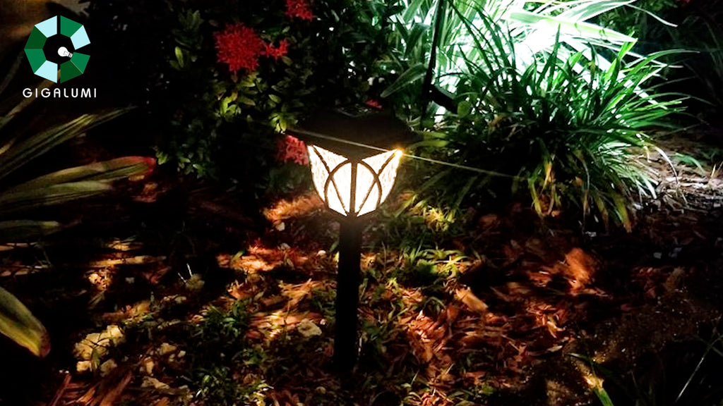 Gigalumi-My pathway is full of warm light