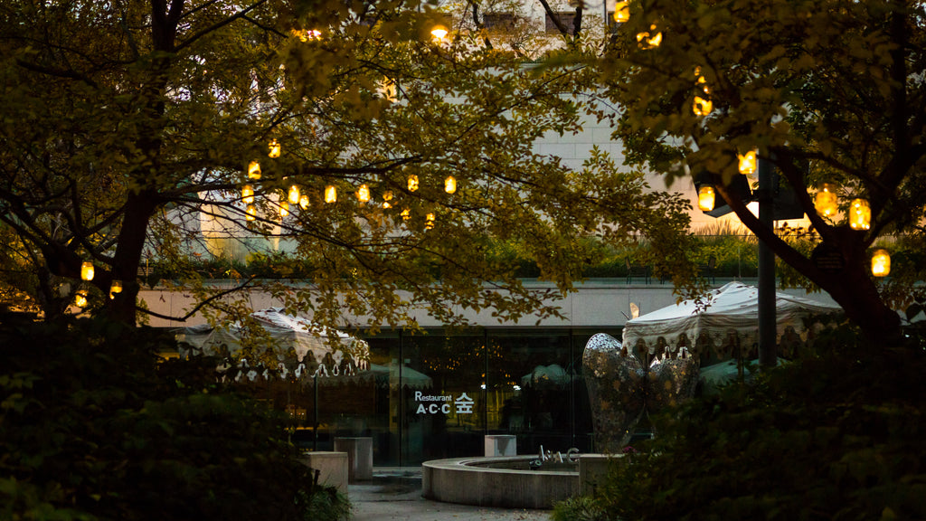 Trendy Solar Lights for a Biofriendly Environment at your home