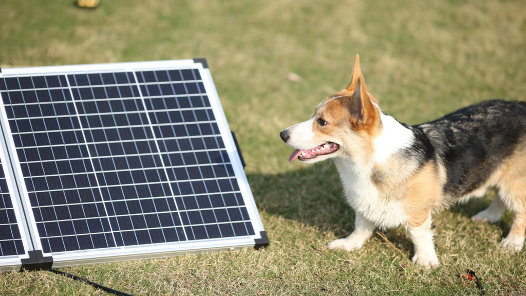 7 FAQ About Solar Lights Charging - The Most Complete Answer