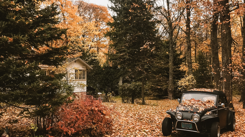 Transitioning Outdoor Lighting for the Autumn Season: Creating a Cozy and Inviting Atmosphere