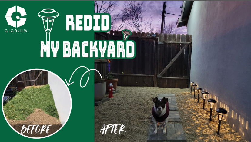 Gigalumi-I redid my backyard with these lights