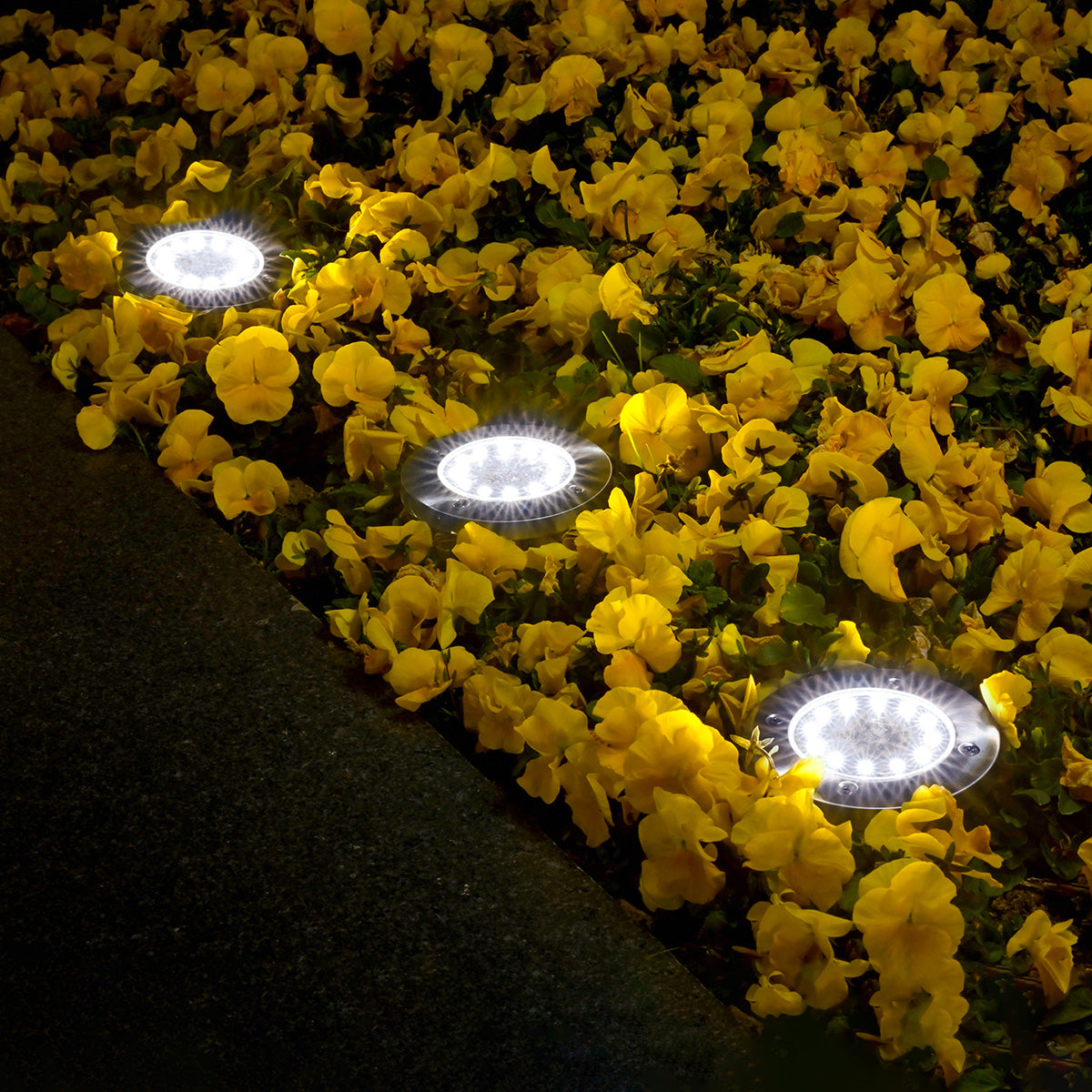 Gigalumi Solar Ground Lights Set (12 Pack)