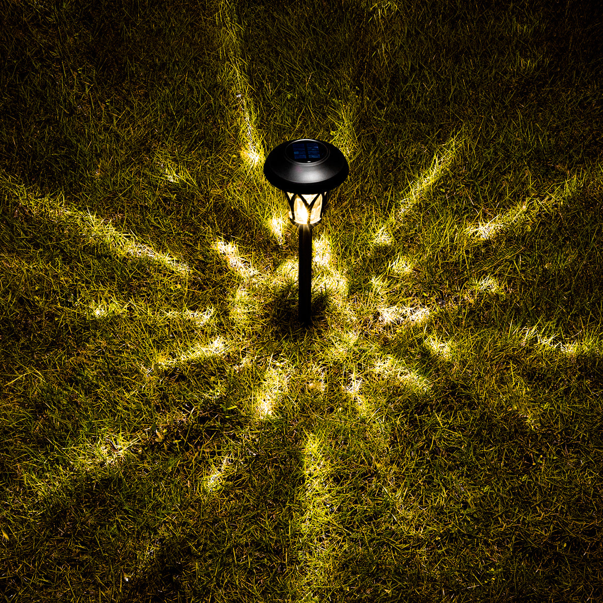 Gigalumi Tulip Designed Solar Yard Lights Set (6 Pack)