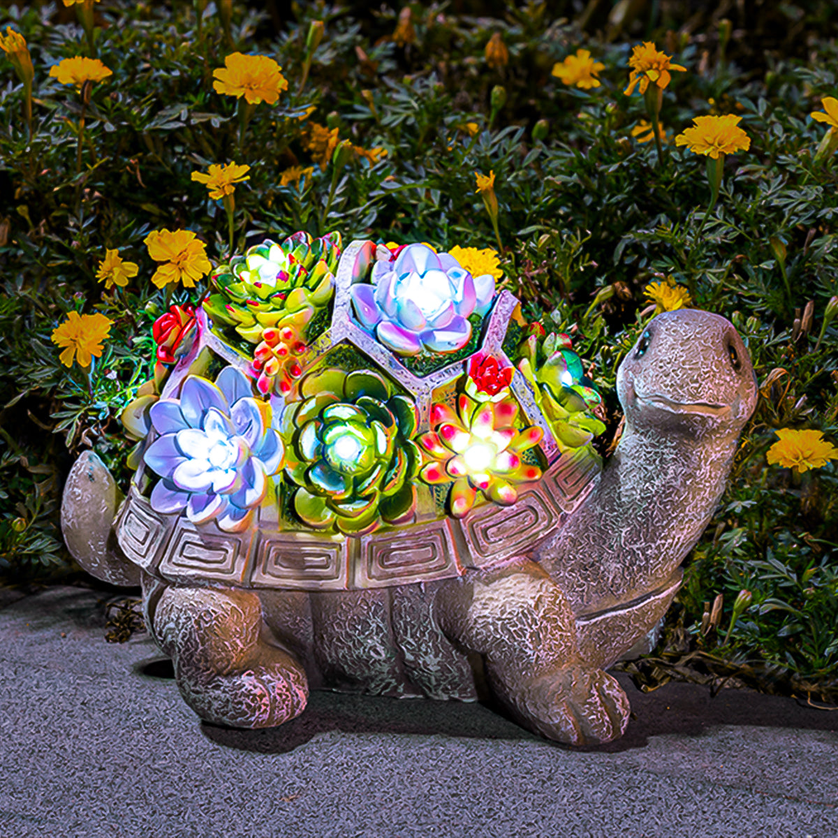 Gigalumi Solar Succulent Turtle Yard Statue Set (1 Pack)
