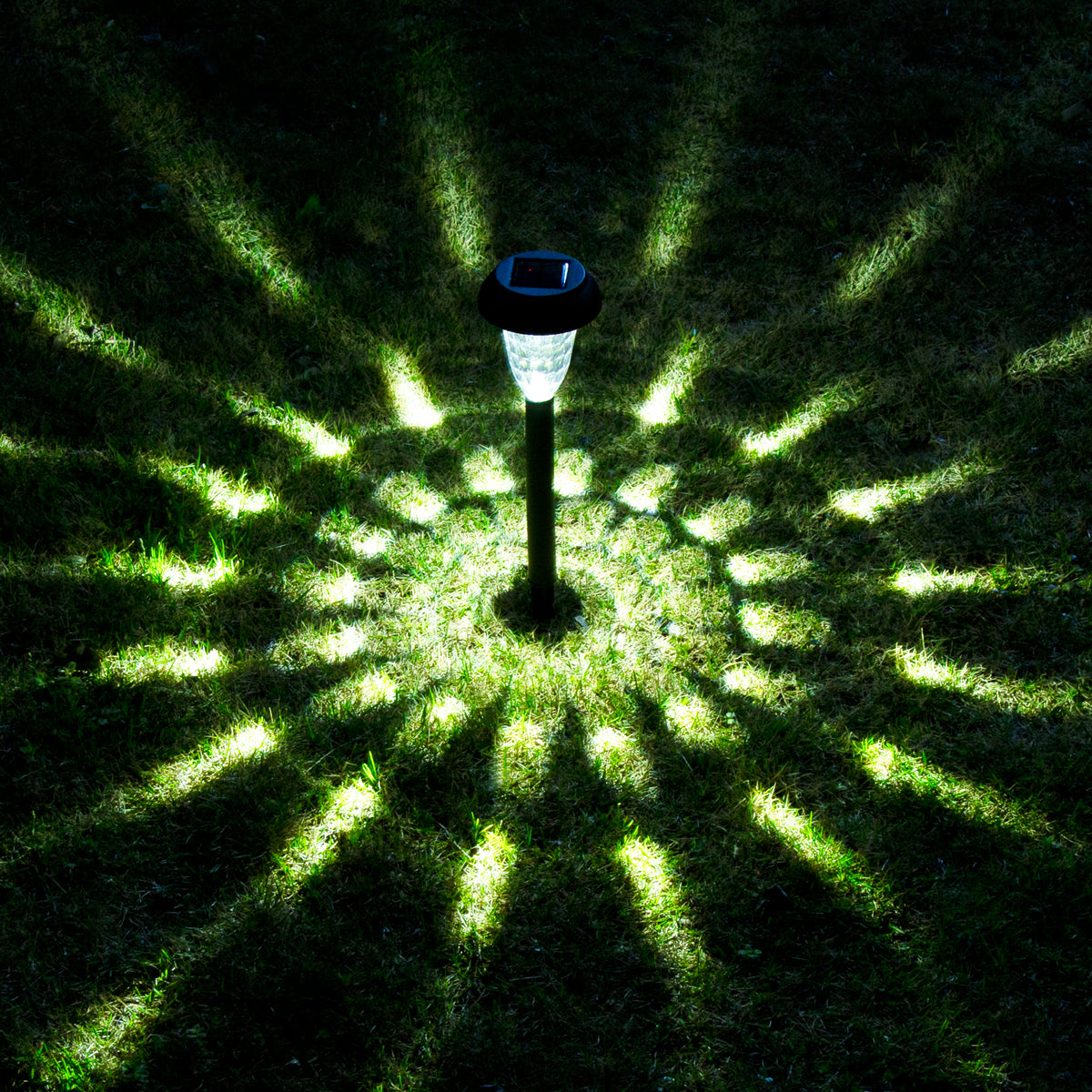 cool white solar landscape lights