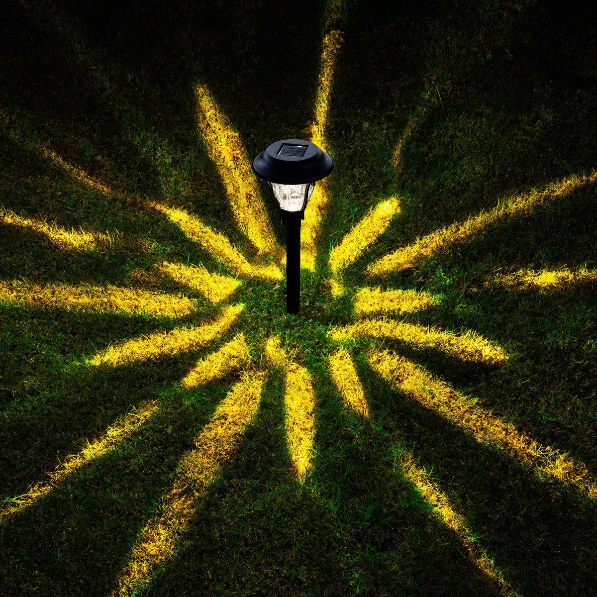 bright warm white outdoor pathway lights