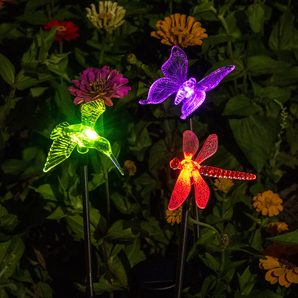 hummingbird butterfly dragonfly decorative outdoor lighting