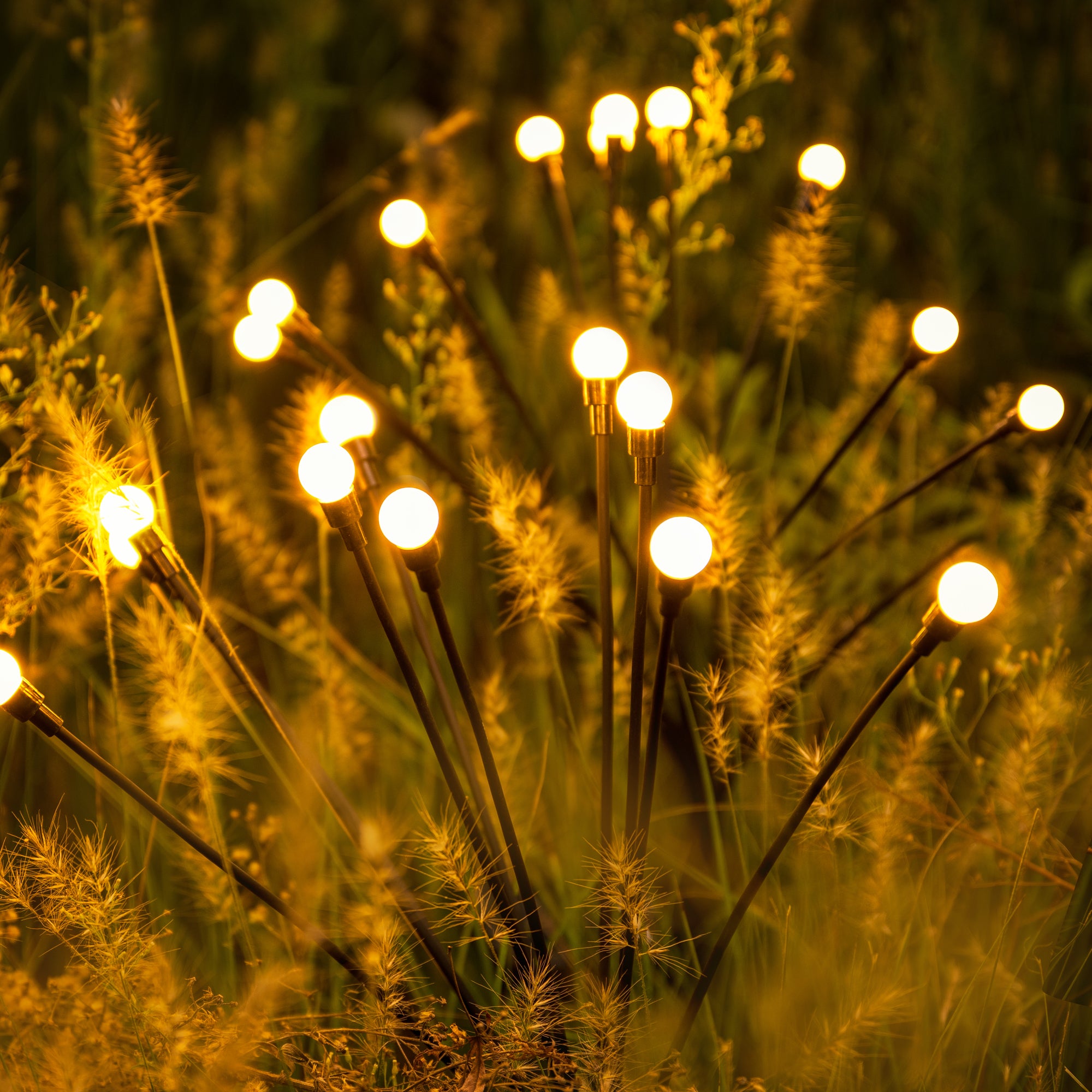 decorative outdoor solar firefly lights