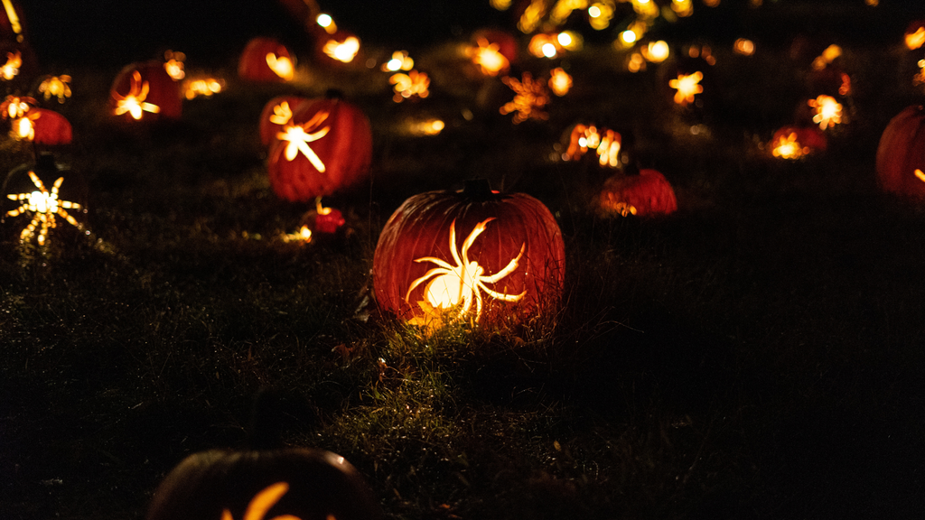 From Pumpkins to Ghosts: 10 DIY Halloween Decorations for Your Garden
