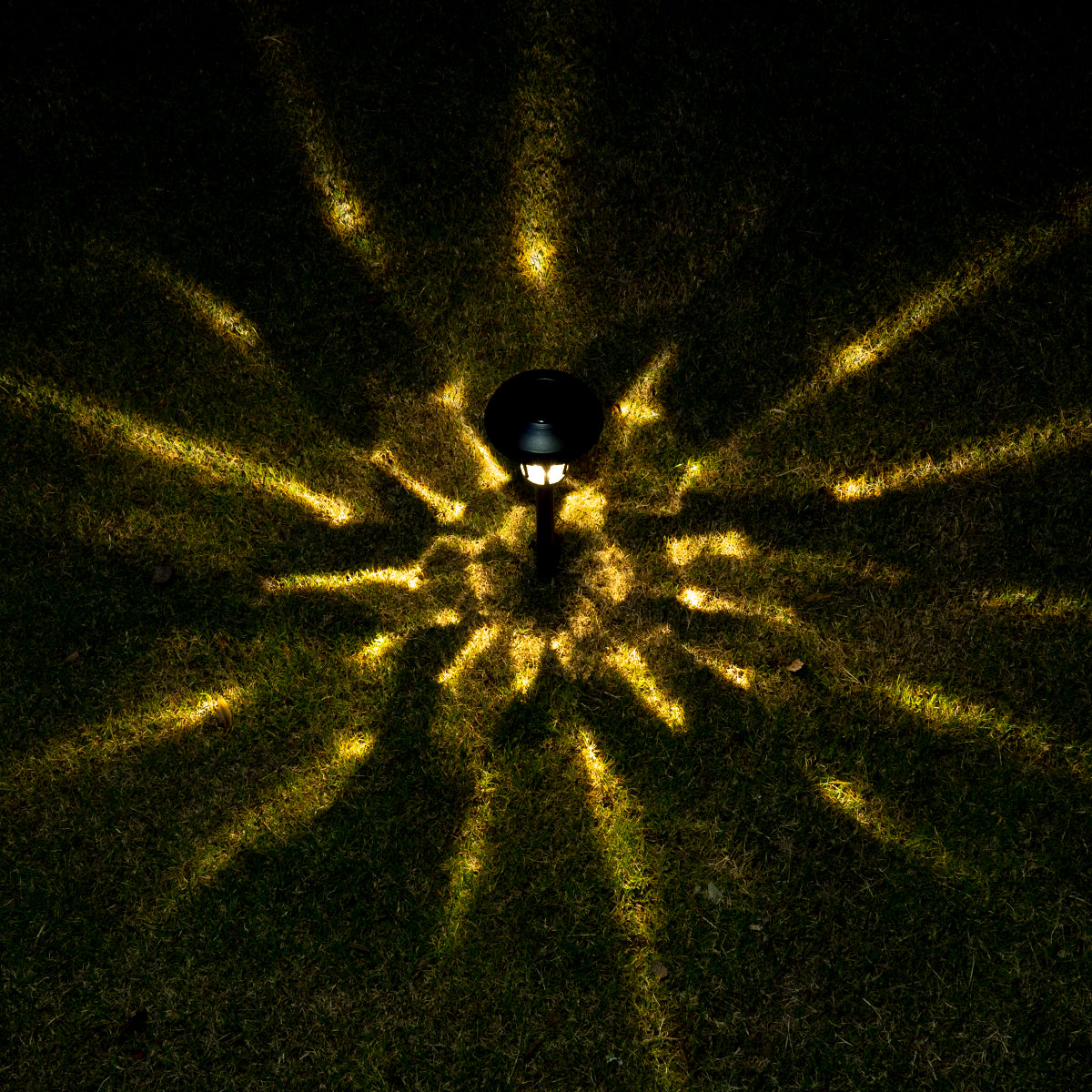 Gigalumi Tulip Designed Solar Yard Lights Set (6 Pack)